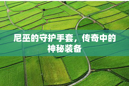 尼巫的守护手套,传奇中的神秘装备 尼巫的守护手套,传奇中的神秘装备