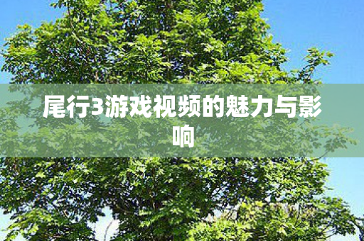 尾行3游戏视频的魅力与影响 尾行3游戏视频的魅力与影响