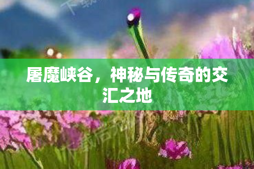 屠魔峡谷，神秘与传奇的交汇之地