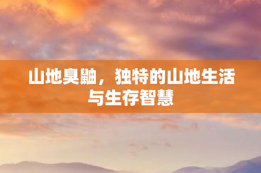 山地臭鼬,独特的山地生活与生存智慧 山地臭鼬,独特的山地生活与生存智慧