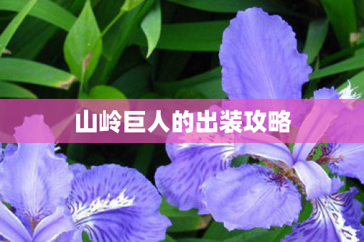 山岭巨人的出装攻略 山岭巨人的出装攻略