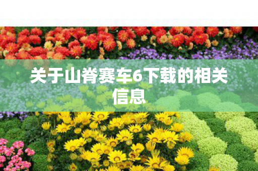 关于山脊赛车6下载的相关信息 关于山脊赛车6下载的相关信息