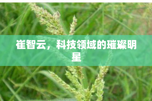 崔智云,科技领域的璀璨明星 崔智云,科技领域的璀璨明星