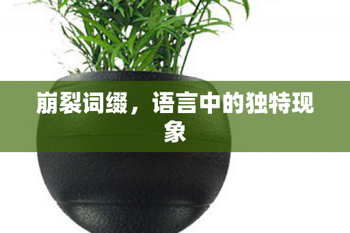 崩裂词缀,语言中的独特现象 崩裂词缀,语言中的独特现象