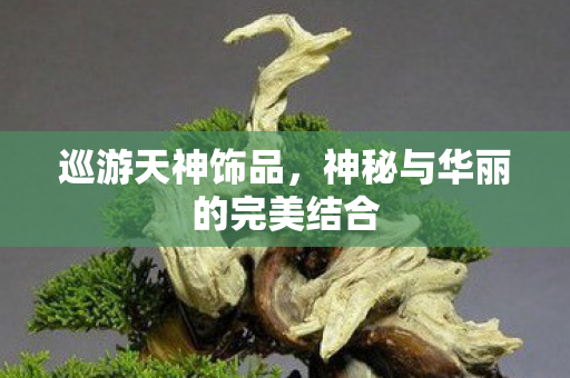 巡游天神饰品,神秘与华丽的完美结合 巡游天神饰品,神秘与华丽的完美结合