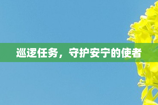 巡逻任务,守护安宁的使者 巡逻任务,守护安宁的使者