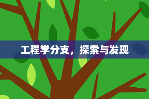 工程学分支,探索与发现 工程学分支,探索与发现