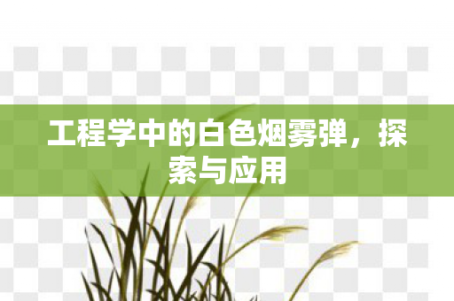 工程学中的白色烟雾弹,探索与应用 工程学中的白色烟雾弹,探索与应用