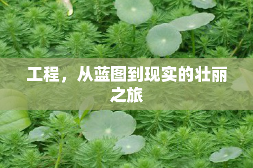 工程，从蓝图到现实的壮丽之旅