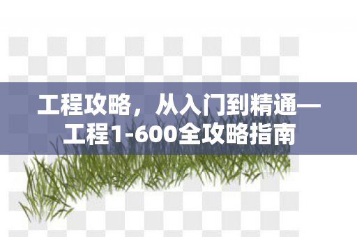 工程攻略,从入门到精通—工程1-600全攻略指南 工程攻略,从入门到精通—工程1-600全攻略指南