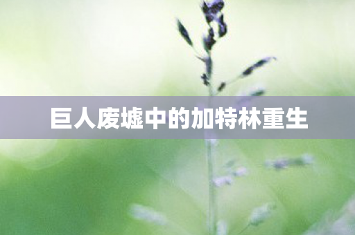 巨人废墟中的加特林重生 巨人废墟中的加特林重生