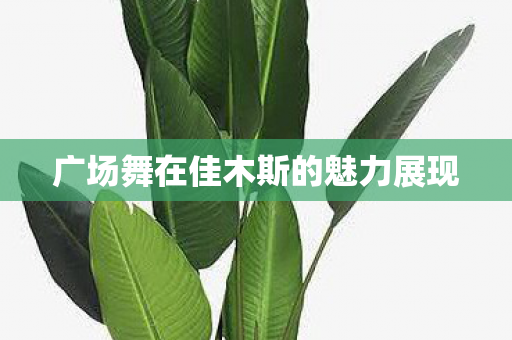 广场舞在佳木斯的魅力展现