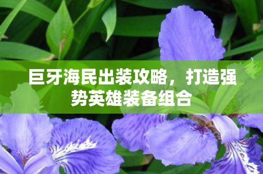 巨牙海民出装攻略,打造强势英雄装备组合 巨牙海民出装攻略,打造强势英雄装备组合