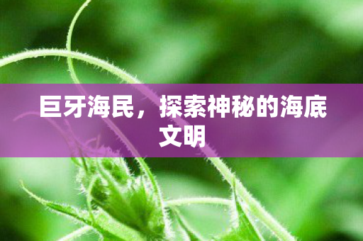 巨牙海民,探索神秘的海底文明 巨牙海民,探索神秘的海底文明