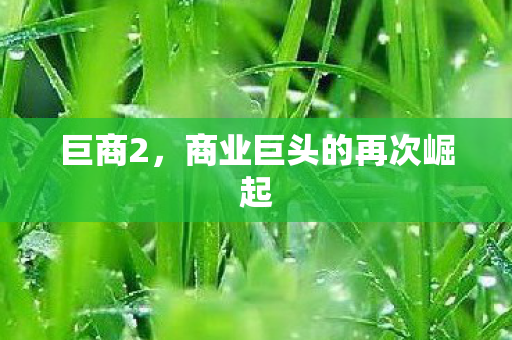 巨商2,商业巨头的再次崛起 巨商2,商业巨头的再次崛起