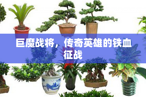 巨魔战将,传奇英雄的铁血征战 巨魔战将,传奇英雄的铁血征战
