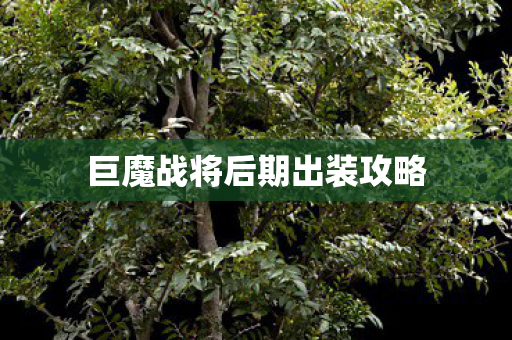 巨魔战将后期出装攻略 巨魔战将后期出装攻略