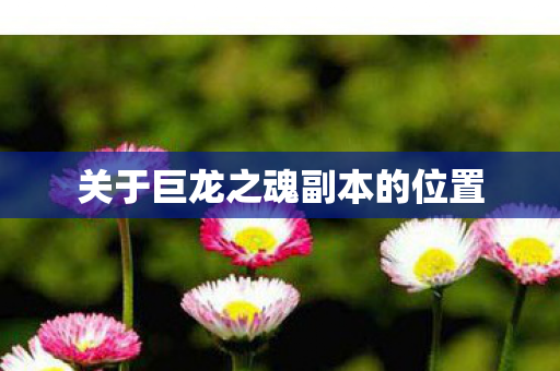 关于巨龙之魂副本的位置 关于巨龙之魂副本的位置