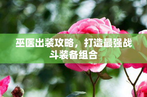巫医出装攻略，打造最强战斗装备组合