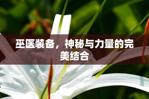 巫医装备,神秘与力量的完美结合 巫医装备,神秘与力量的完美结合