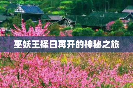 巫妖王择日再开的神秘之旅 巫妖王择日再开的神秘之旅
