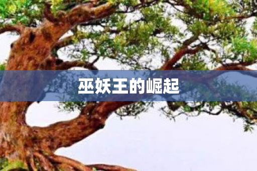 巫妖王的崛起 巫妖王的崛起