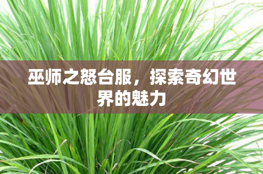 巫师之怒台服,探索奇幻世界的魅力 巫师之怒台服,探索奇幻世界的魅力