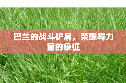 巴兰的战斗护肩,荣耀与力量的象征 巴兰的战斗护肩,荣耀与力量的象征
