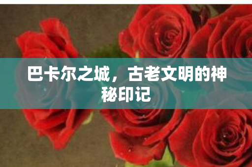 巴卡尔之城,古老文明的神秘印记 巴卡尔之城,古老文明的神秘印记