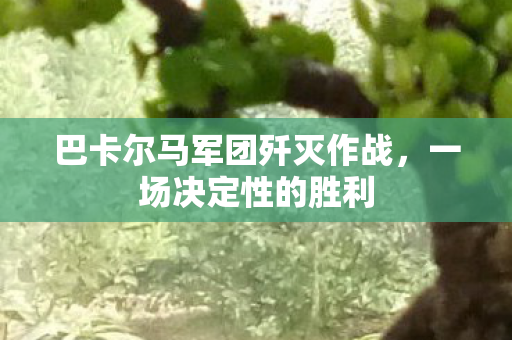 巴卡尔马军团歼灭作战，一场决定性的胜利