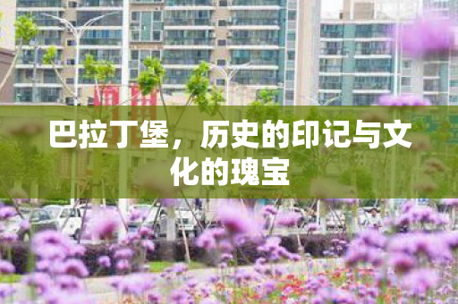 巴拉丁堡,历史的印记与文化的瑰宝 巴拉丁堡,历史的印记与文化的瑰宝