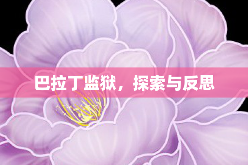 巴拉丁监狱,探索与反思 巴拉丁监狱,探索与反思