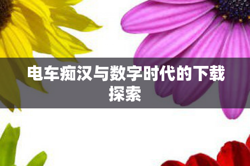 电车痴汉与数字时代的下载探索 电车痴汉与数字时代的下载探索
