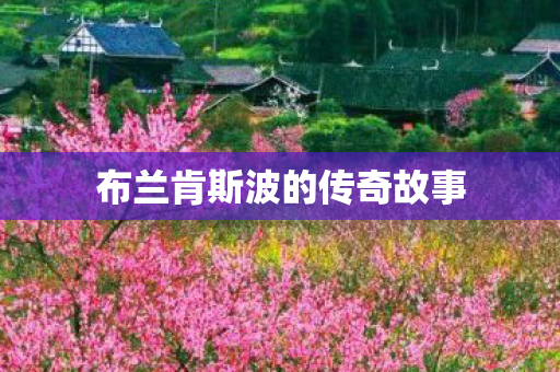 布兰肯斯波的传奇故事 布兰肯斯波的传奇故事