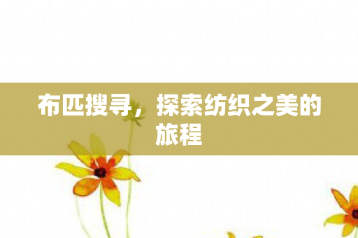 布匹搜寻,探索纺织之美的旅程 布匹搜寻,探索纺织之美的旅程