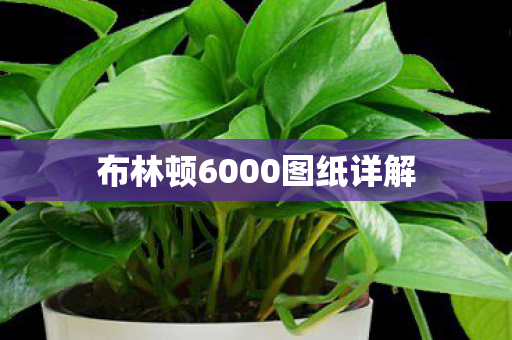 布林顿6000图纸详解 布林顿6000图纸详解