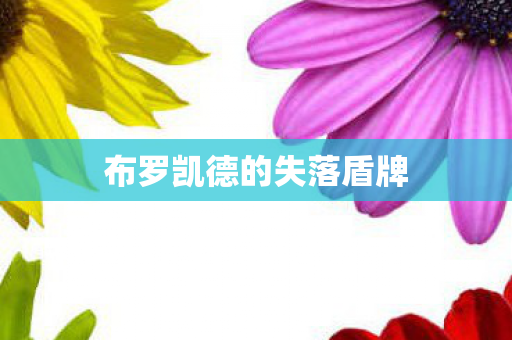 布罗凯德的失落盾牌 布罗凯德的失落盾牌