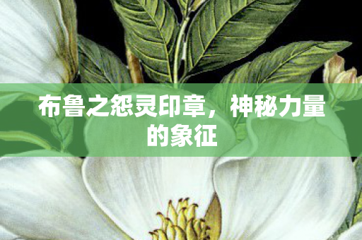 布鲁之怨灵印章,神秘力量的象征 布鲁之怨灵印章,神秘力量的象征