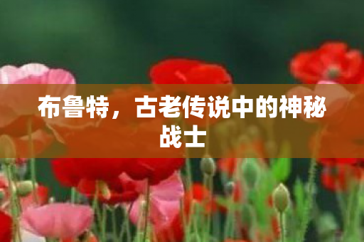 布鲁特，古老传说中的神秘战士