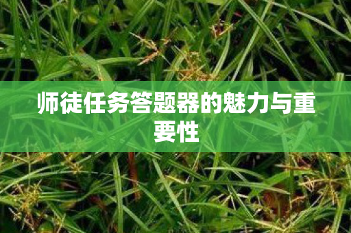 师徒任务答题器的魅力与重要性 师徒任务答题器的魅力与重要性