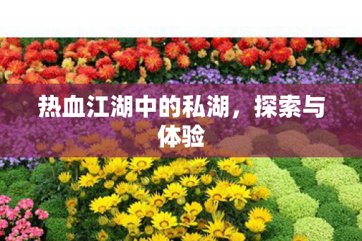 热血江湖中的私湖,探索与体验 热血江湖中的私湖,探索与体验