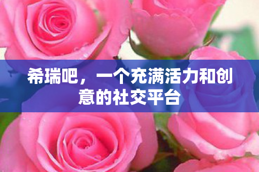 希瑞吧,一个充满活力和创意的社交平台 希瑞吧,一个充满活力和创意的社交平台
