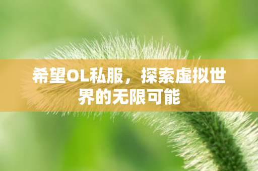 希望OL私服，探索虚拟世界的无限可能