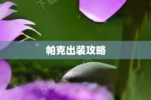 帕克出装攻略 帕克出装攻略
