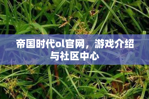 帝国时代ol官网,游戏介绍与社区中心 帝国时代ol官网,游戏介绍与社区中心