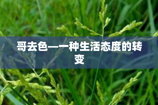 哥去色—一种生活态度的转变 哥去色—一种生活态度的转变