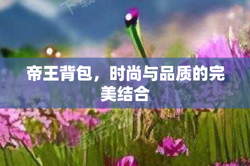 帝王背包,时尚与品质的完美结合 帝王背包,时尚与品质的完美结合