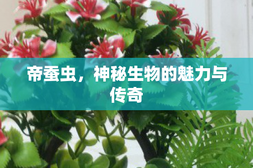 帝蚕虫,神秘生物的魅力与传奇 帝蚕虫,神秘生物的魅力与传奇
