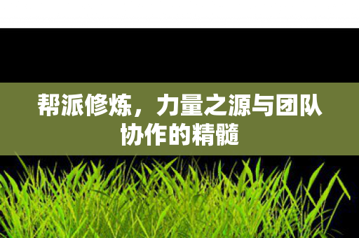 帮派修炼,力量之源与团队协作的精髓 帮派修炼,力量之源与团队协作的精髓
