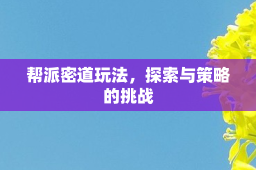 帮派密道玩法,探索与策略的挑战 帮派密道玩法,探索与策略的挑战